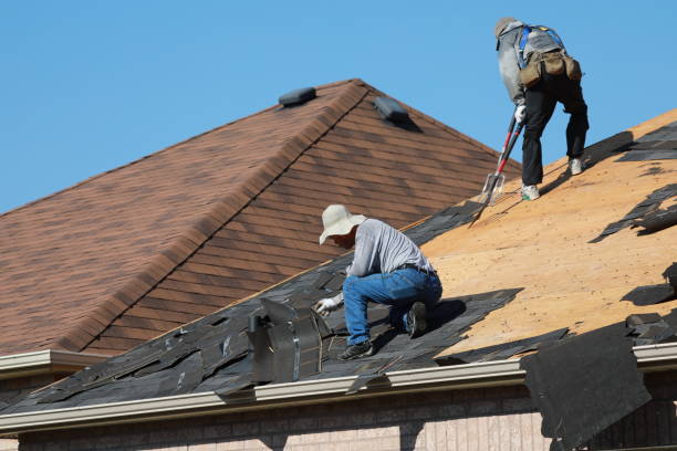 Best Roof Leak Repair  in Stafford Courthouse, VA