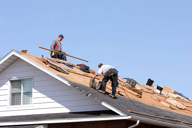 Best Metal Roofing Installation  in Stafford Courthouse, VA